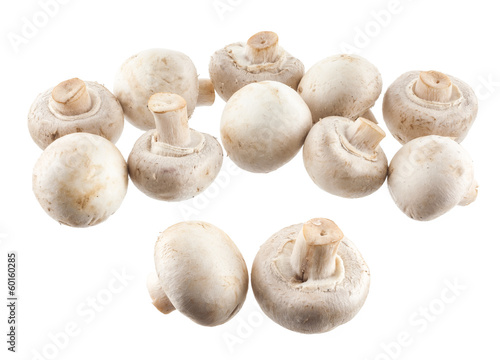 Button mushroom