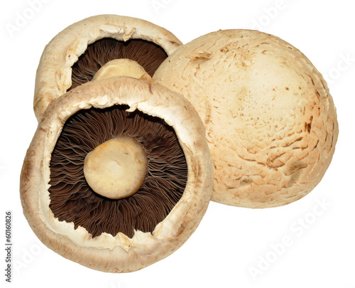 Large Flat Mushrooms
