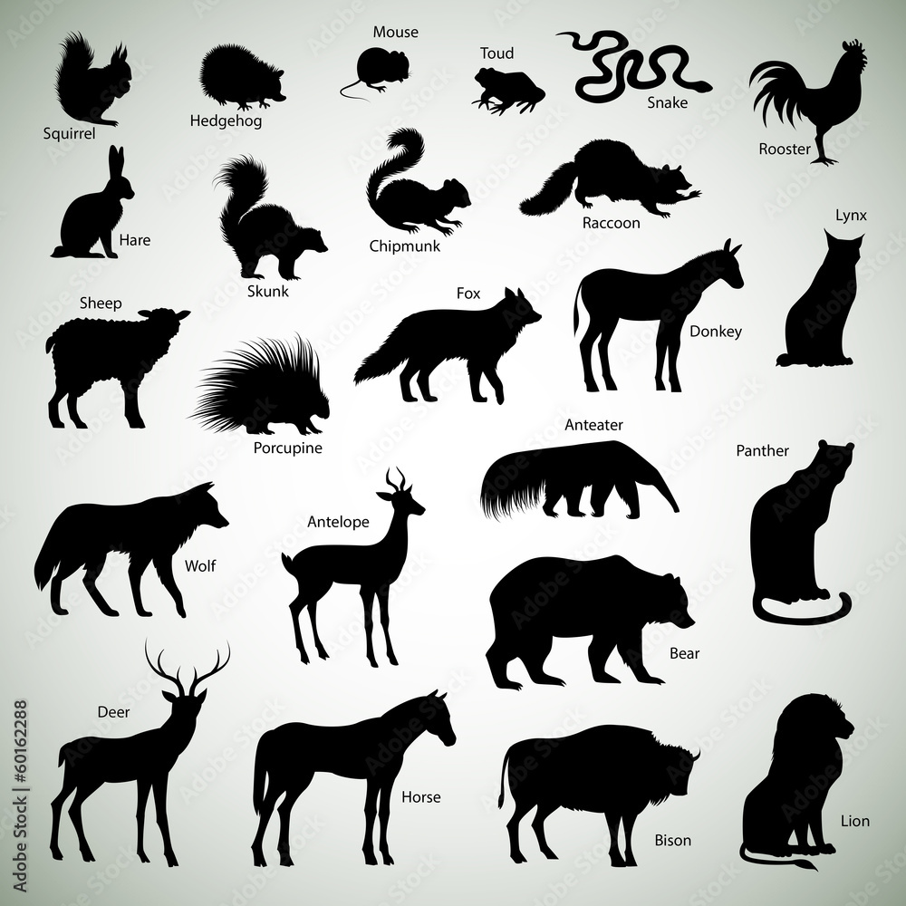 Fototapeta premium Animal silhouettes