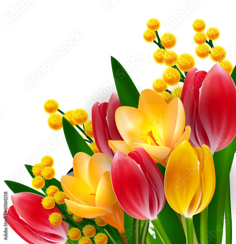 Tulips and mimosas design template