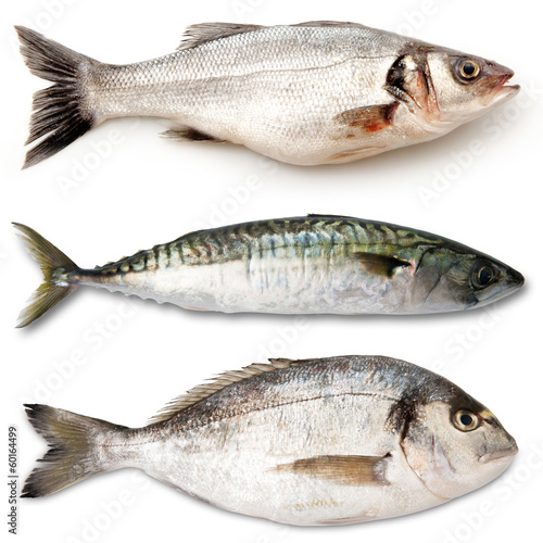 Carta da parati i pesci - Carta da parati tris di pesce