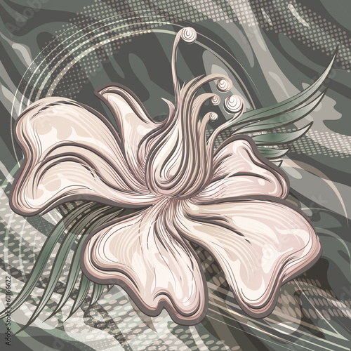 The water lily