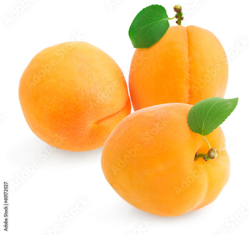 Group apricot on a white background
