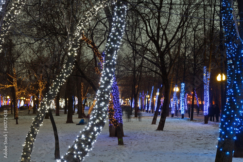 night illumination of Moscow boulevard photo