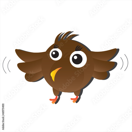 Brown Bird