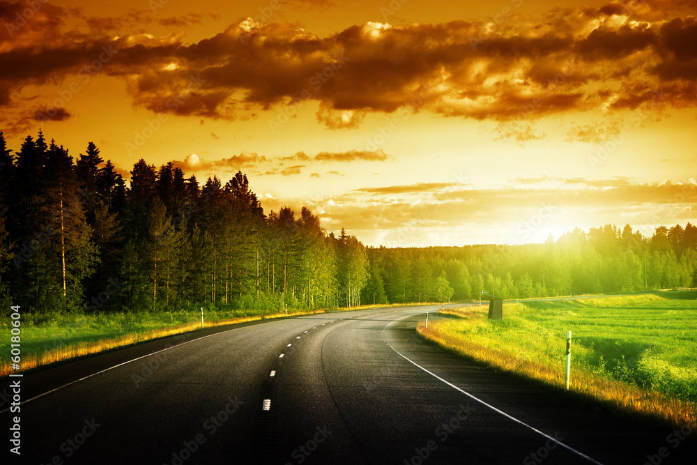 Asphalt road in forest Asphalt road in forest