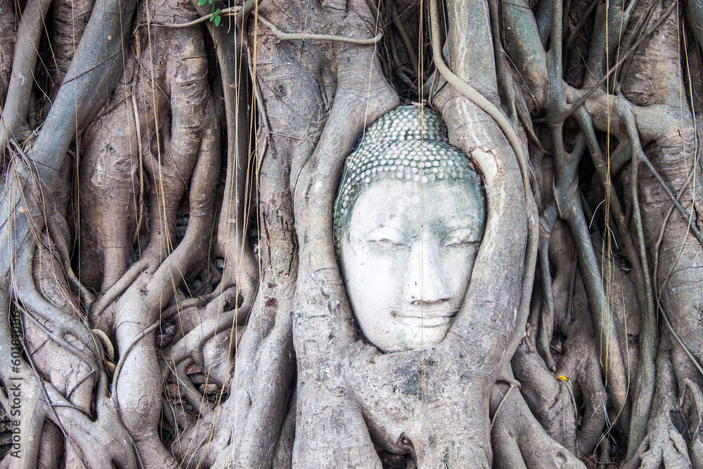 Head of Buddha in Wat Mahathat, Ayutthaya, Thailand