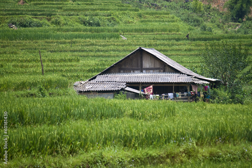 Village house near Sapa, Vietnam Village house near Sapa, Vietnam