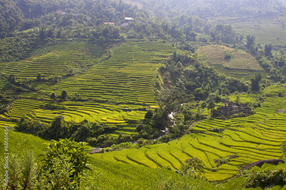 Paddy fields in mountains of northern Vietnam Paddy fields in mountains of northern Vietnam
