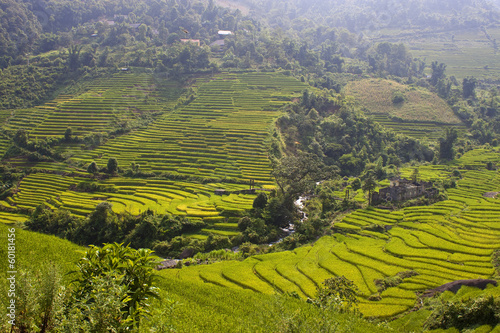 Paddy fields in mountains of northern Vietnam