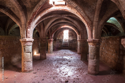 Portuguese fortress on Hormoz island  Iran