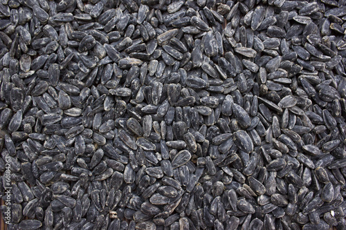 Fotografie Sunflower seeds
