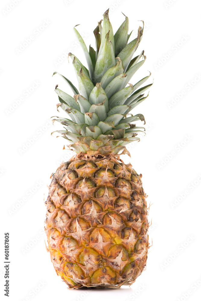 Pineapple Pineapple