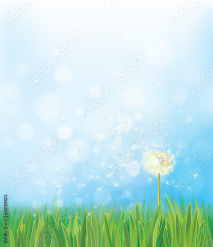 Vector dandelion on spring  background.
