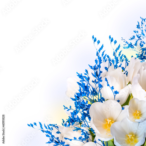 Fototapeta Naklejka Na Ścianę i Meble -  White tulips with blue grass. Floral background.