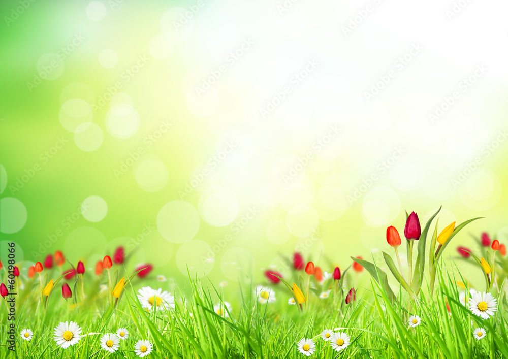 Abstract floral background