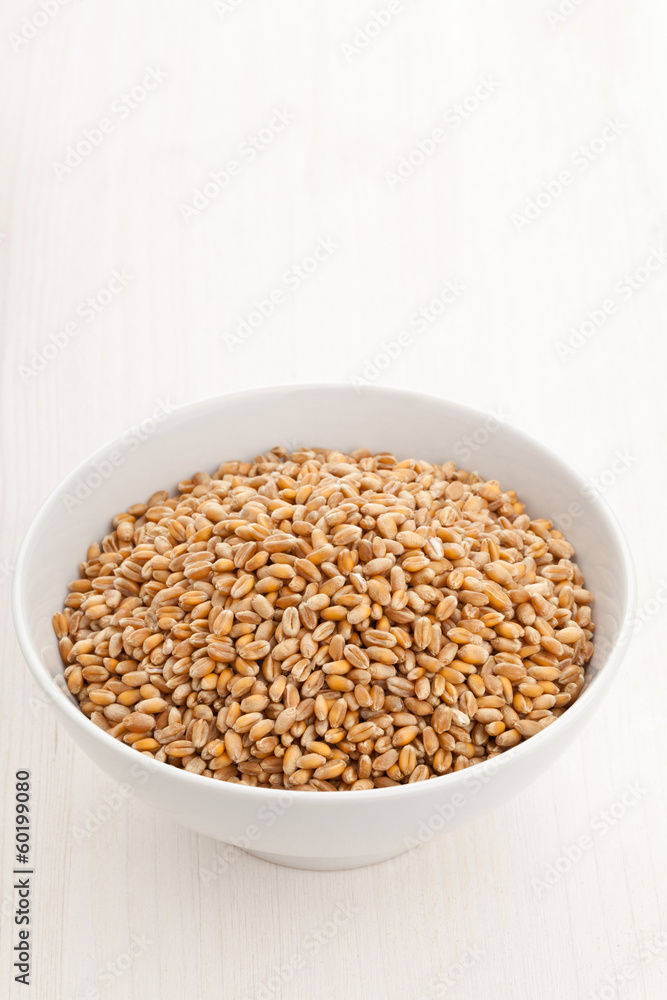 Wheat seed in bowl Wheat seed in bowl
