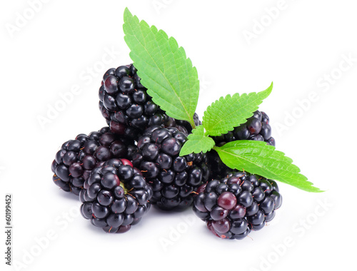 Blackberries