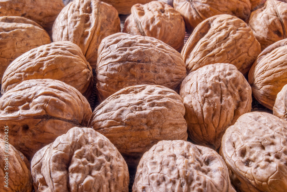 walnut walnut