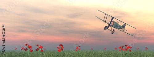 Obraz na plátně Biplane on the grass - 3D render