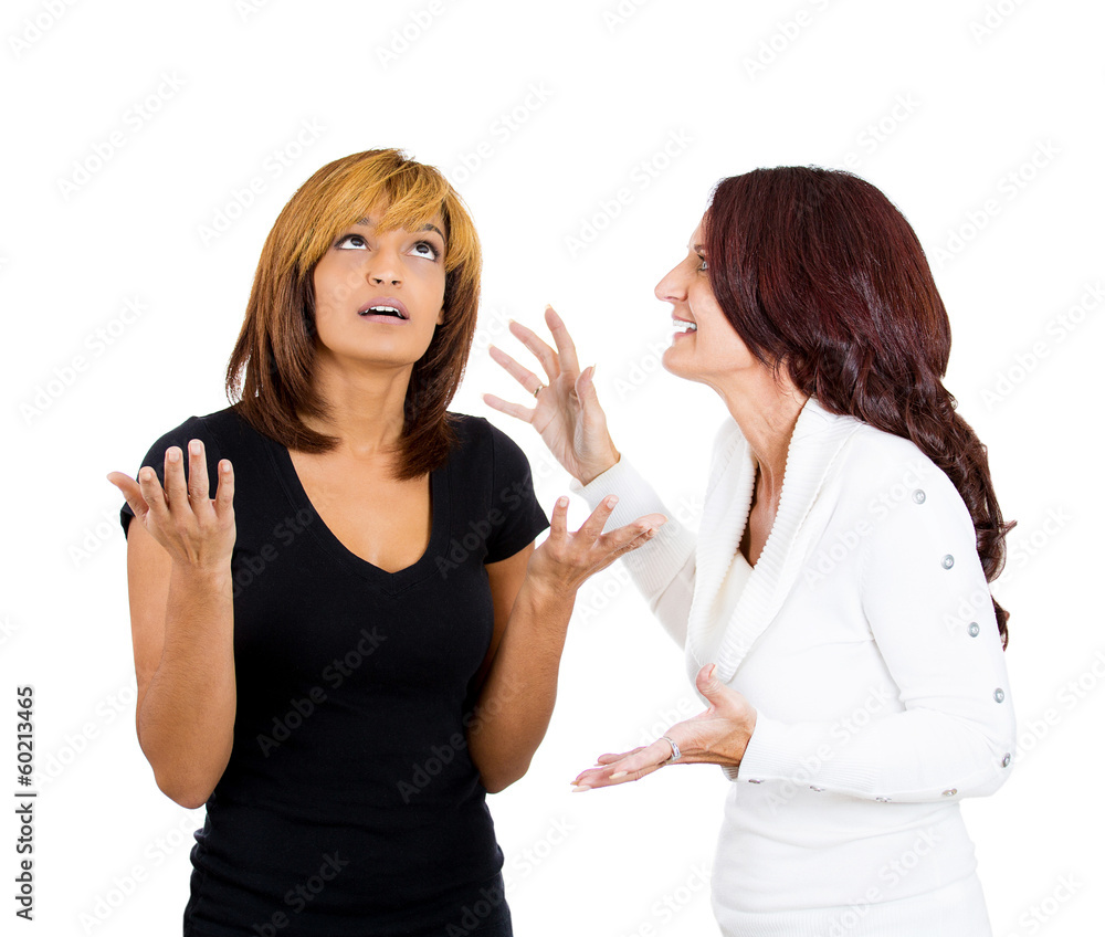 portrait of two angry mad woman fighting complaining each other portrait of two angry mad woman fighting complaining each other
