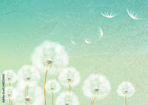 Abstract background with flower dandelion