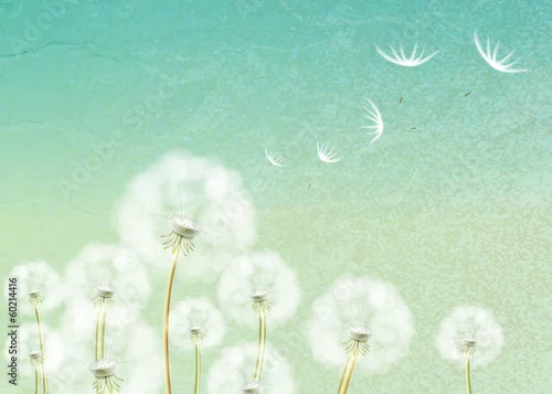 Obraz Abstrakcjonistyczny tło z kwiatu dandelion