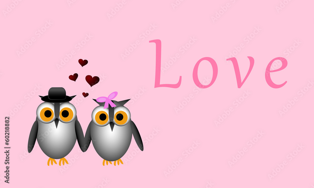 Owl Romance