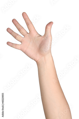 hand sign posture number five isolated
