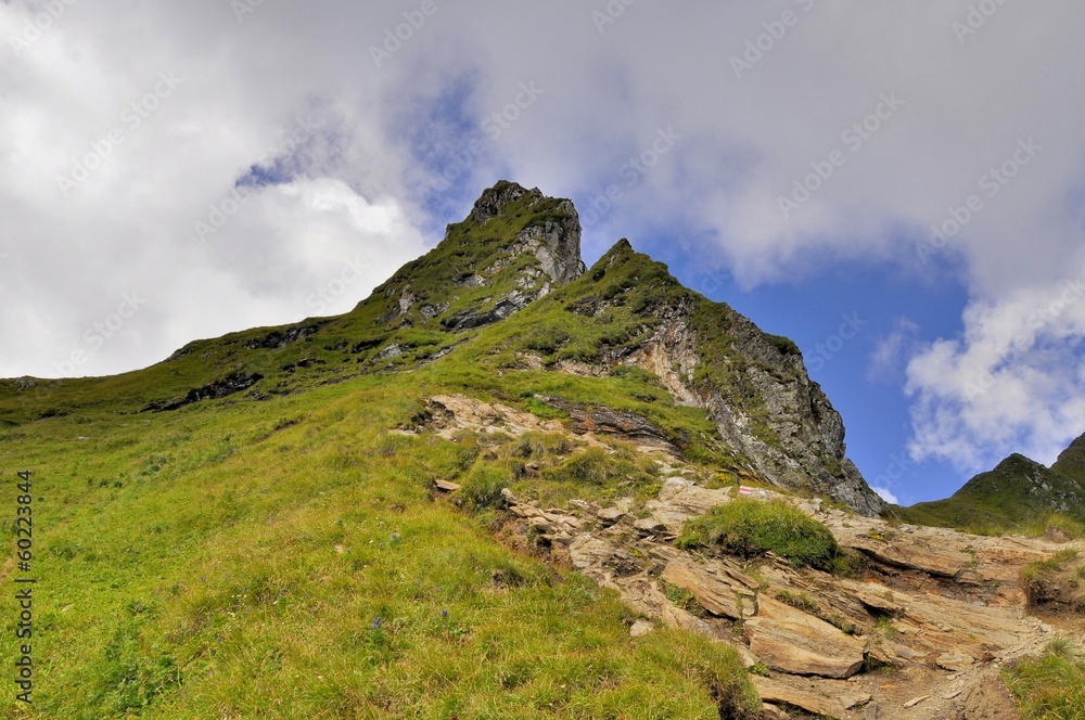 Beautiful summer landscape in the mountains Beautiful summer landscape in the mountains