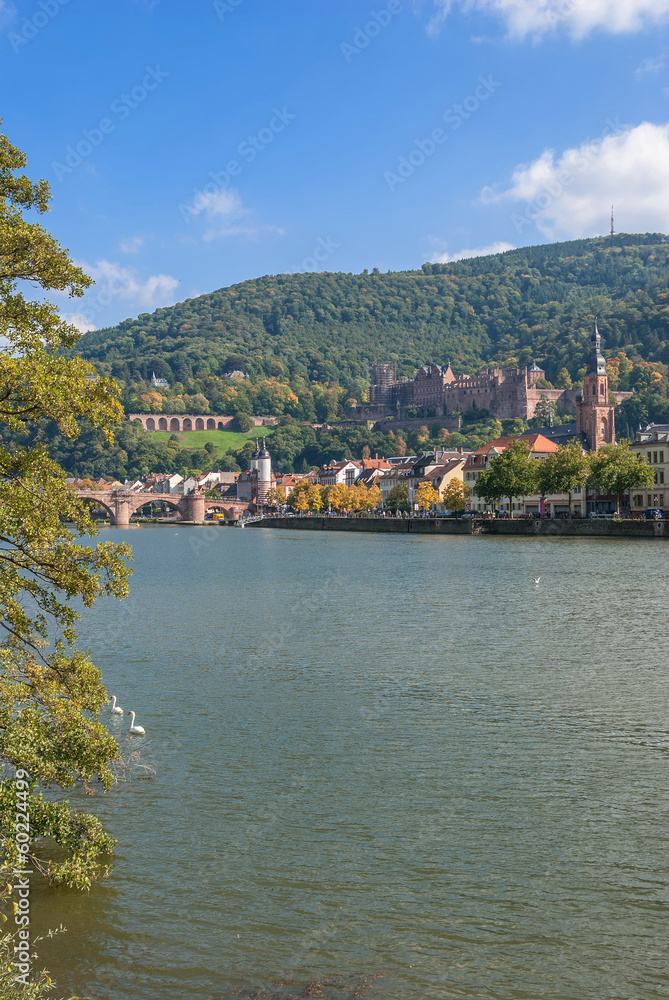 Obraz premium das beliebte Heidelberg am Neckar