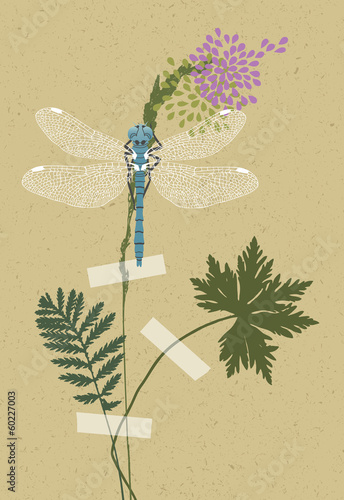 Blue Dragonfly and Plants
