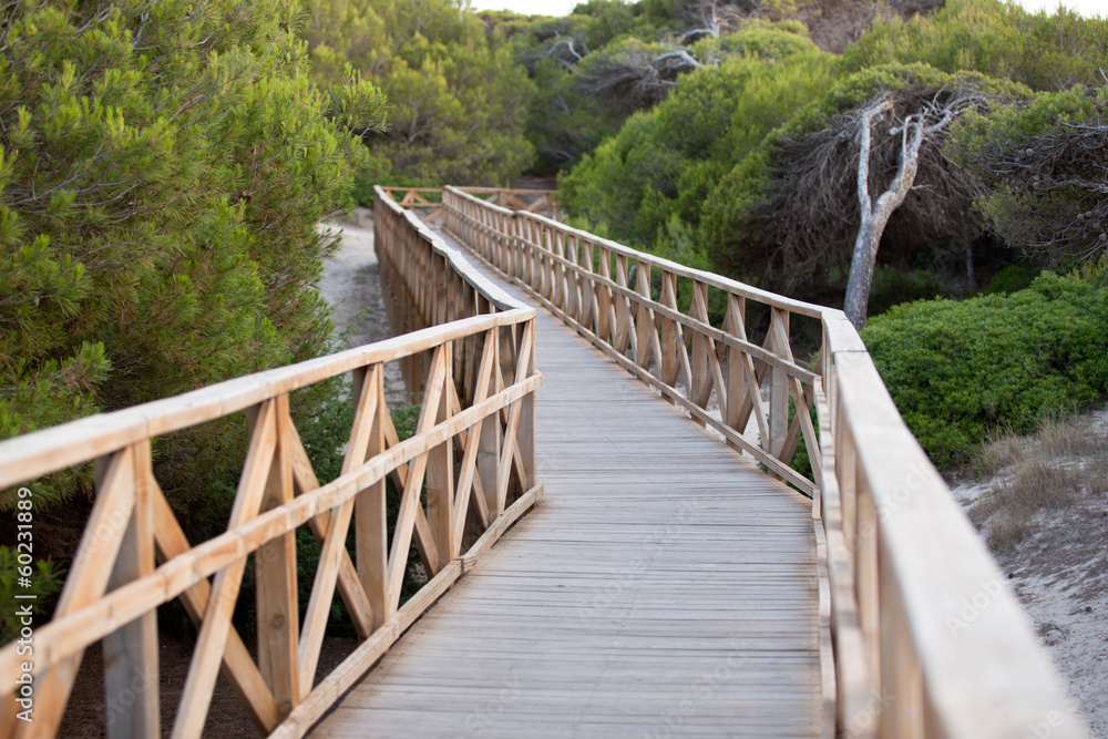 Obraz premium Steg mallorca