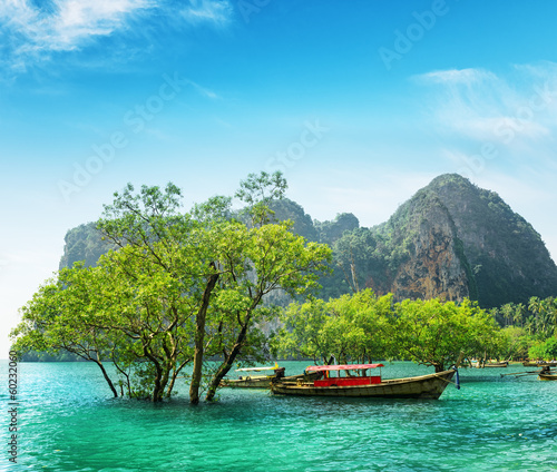 Boats on Railay beach, Thailand © efired