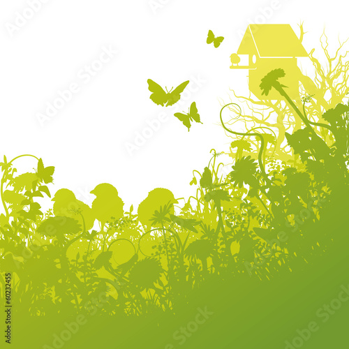 Jungvögel und Vogelhaus