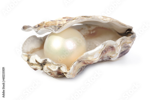 Oyster and pearl