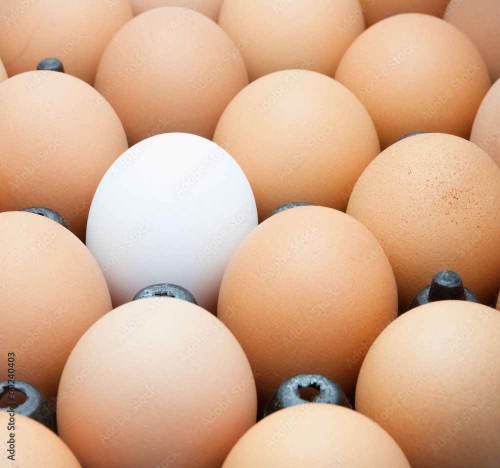 Egg in black package