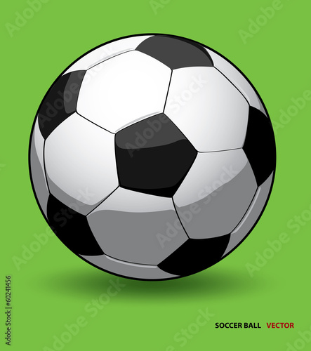 soccer ball vector on green background