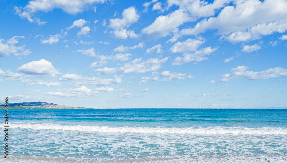 blue sky and sea