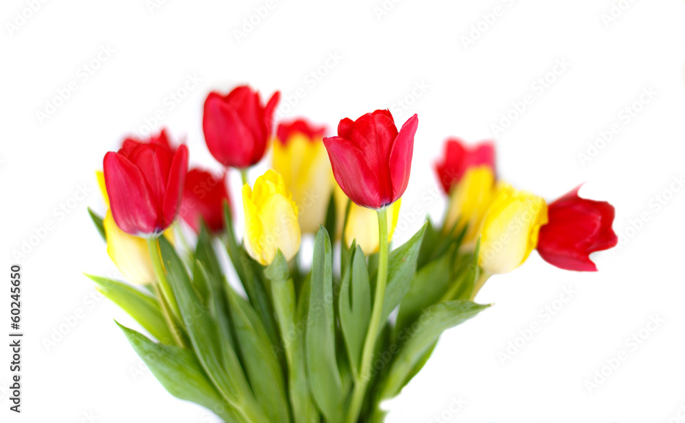 Flowers, red and yellow tulips Flowers, red and yellow tulips