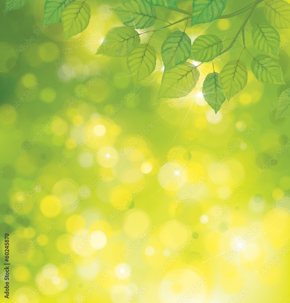 Vector green leaves on sunshine background. Vector green leaves on sunshine background.