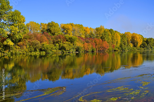 Picturesque autumn landscape of bright trees on the bank of the