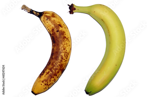 Alte und Neue Banane