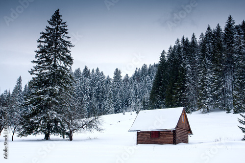 wooden house in forest at winter time © Pavlo Klymenko