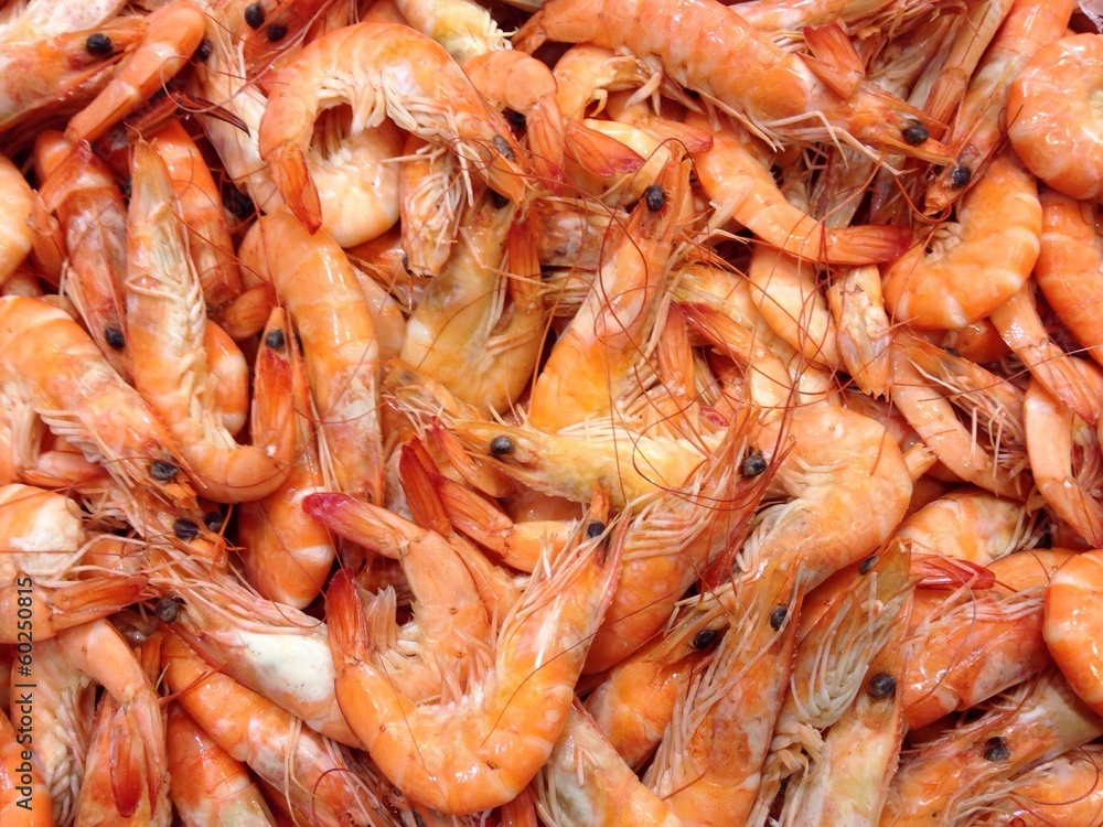 Langostinos en venta comida sana Langostinos en venta comida sana