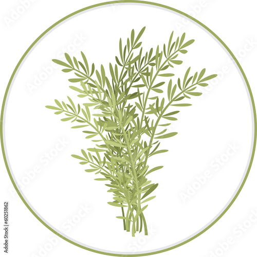Rosemary Bunch
