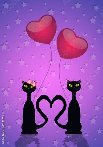 Two cats in love for Valentine's Day