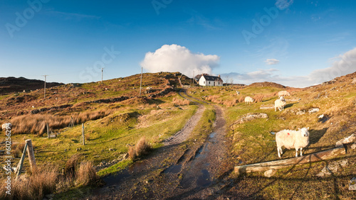 Farmland, Scotland.