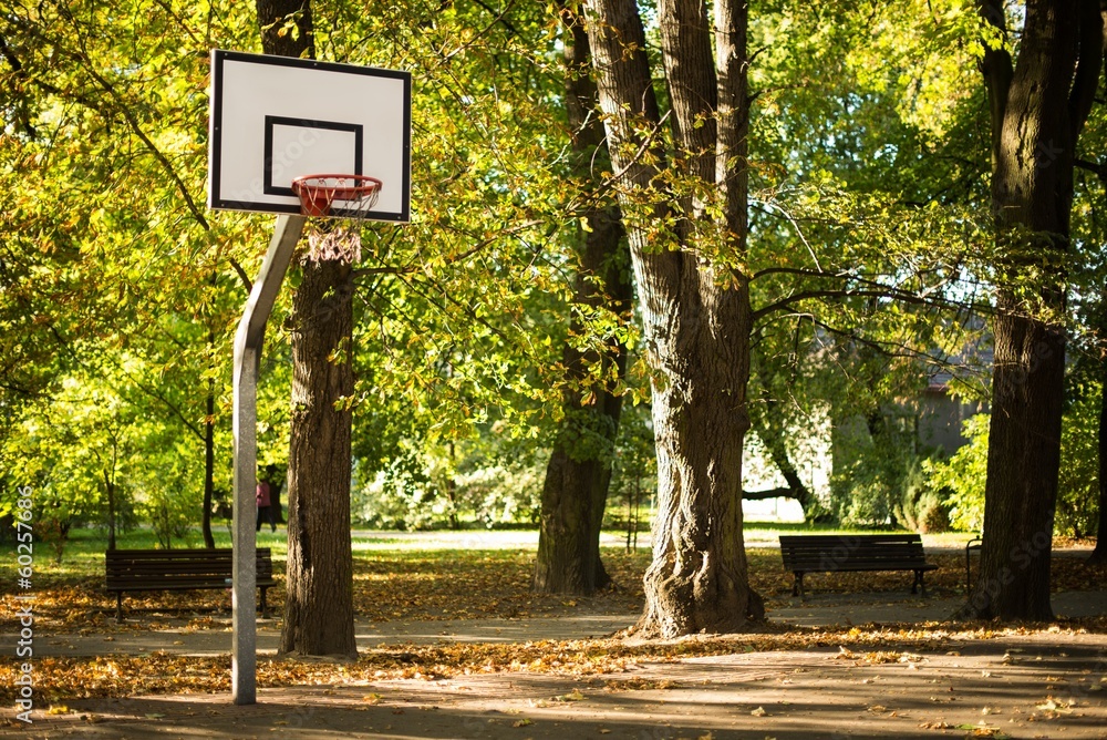 Fototapeta premium Basketball Field