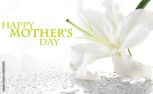 Fototapeta Naklejka Na Ścianę i Meble -  Beautiful lily, isolated on white